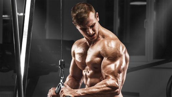 Testocyl E 250 mg Cygnus : Un allié pour le culturisme Testocyl E 250 mg Cygnus : Un allié pour le culturisme